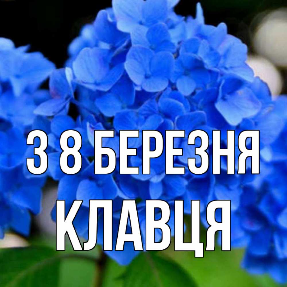 Открытка на каждый день з підписом, Клавця З 8 БЕРЕЗНЯ синие цветы Прикольна листівка з побажанням онлайн скачати безкоштовно 