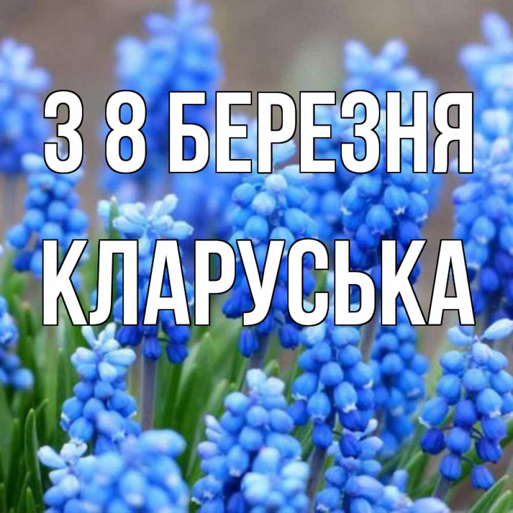 Открытка на каждый день з підписом, Кларуська З 8 БЕРЕЗНЯ Поздравительная открытка для женщин с цветами на праздничную дату Прикольна листівка з побажанням онлайн скачати безкоштовно 