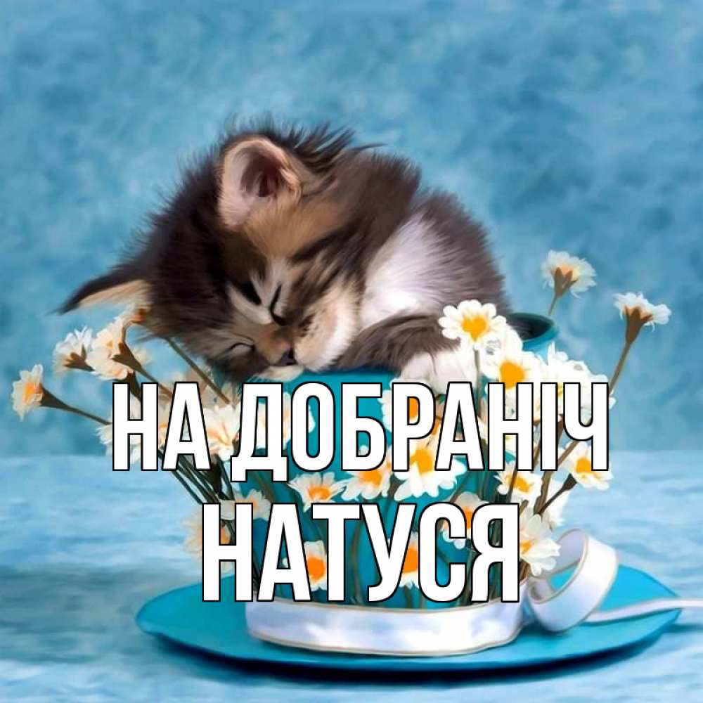 Открытка на каждый день з підписом, Натуся На добраніч котенок спит в кружке с блюдцем Прикольна листівка з побажанням онлайн скачати безкоштовно 