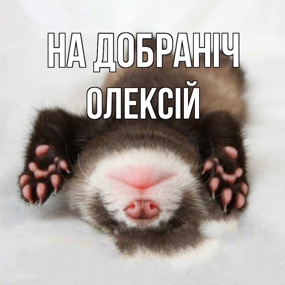 Открытка на каждый день з підписом, Олексій На добраніч зверек Прикольна листівка з побажанням онлайн скачати безкоштовно 