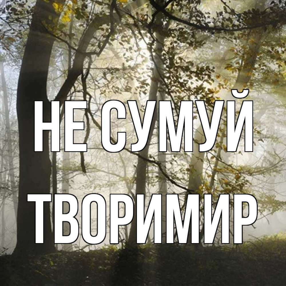Открытка на каждый день з підписом, Творимир Не сумуй лес и свет Прикольна листівка з побажанням онлайн скачати безкоштовно 
