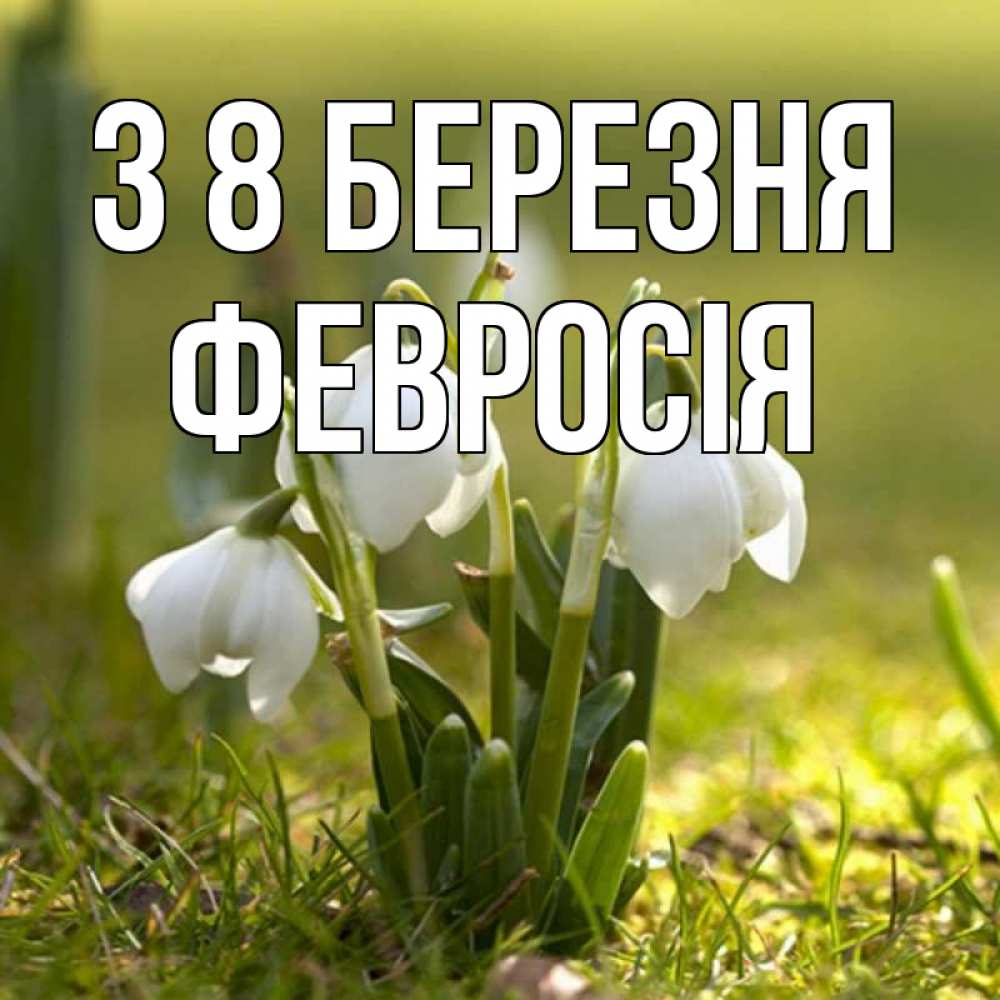 Открытка на каждый день з підписом, Февросія З 8 БЕРЕЗНЯ ранние цветы 2 Прикольна листівка з побажанням онлайн скачати безкоштовно 