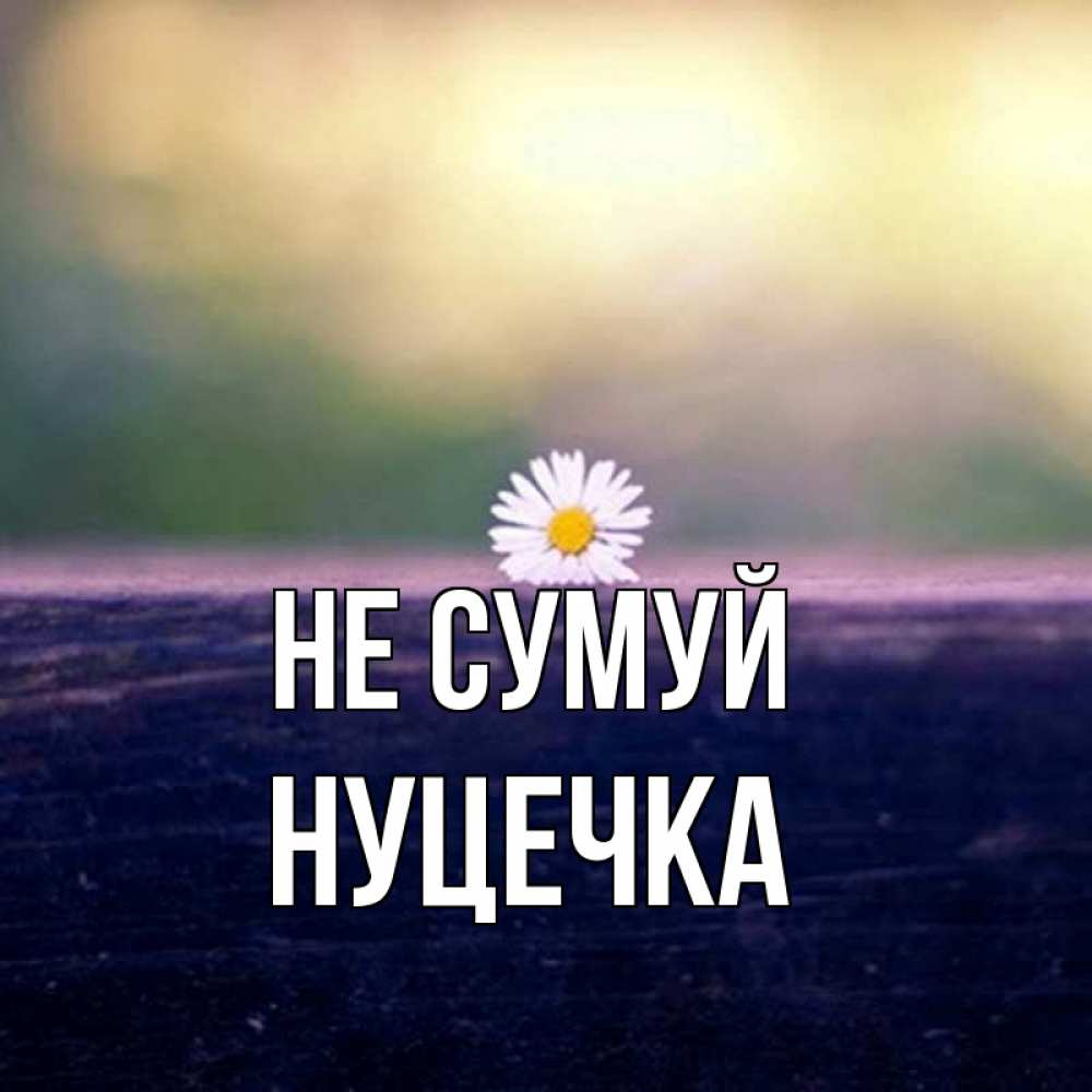 Открытка на каждый день з підписом, Нуцечка Не сумуй красота Прикольна листівка з побажанням онлайн скачати безкоштовно 