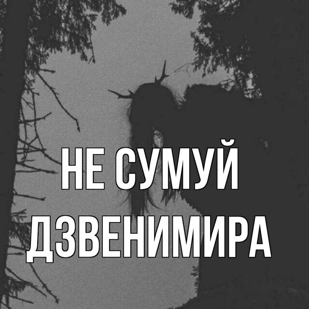 Открытка на каждый день з підписом, Дзвенимира Не сумуй чудище лесное Прикольна листівка з побажанням онлайн скачати безкоштовно 