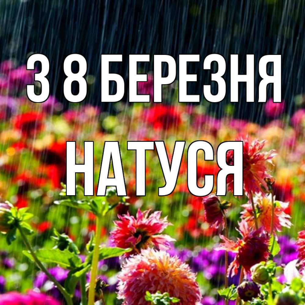 Открытка на каждый день з підписом, Натуся З 8 БЕРЕЗНЯ цветы под дождиком к международному женскому дню Прикольна листівка з побажанням онлайн скачати безкоштовно 