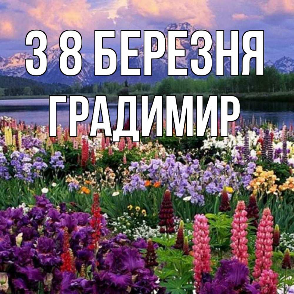 Открытка на каждый день з підписом, Градимир З 8 БЕРЕЗНЯ международный женский день Прикольна листівка з побажанням онлайн скачати безкоштовно 