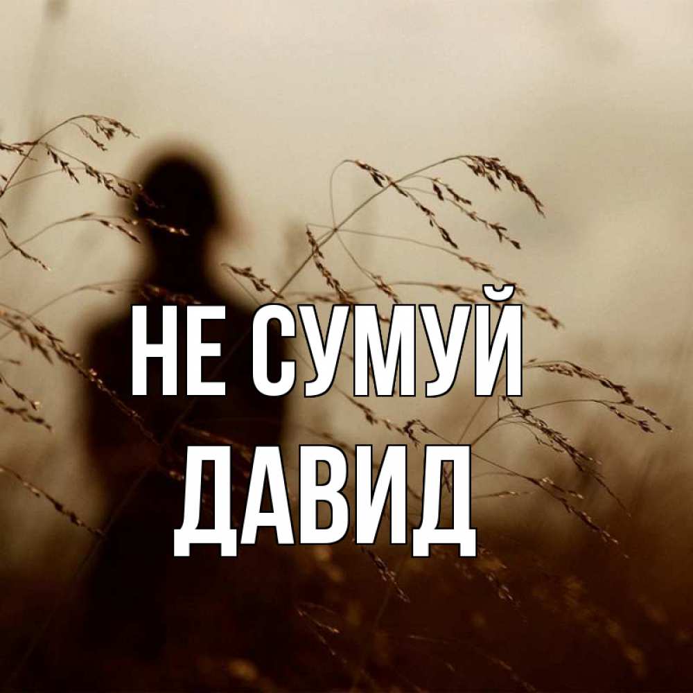Открытка на каждый день з підписом, Давид Не сумуй грусть Прикольна листівка з побажанням онлайн скачати безкоштовно 