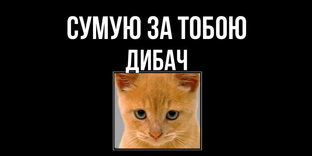 Открытка на каждый день з підписом, Дибач Сумую за тобою открытки рыжий котенок скучает по тебе Прикольна листівка з побажанням онлайн скачати безкоштовно 
