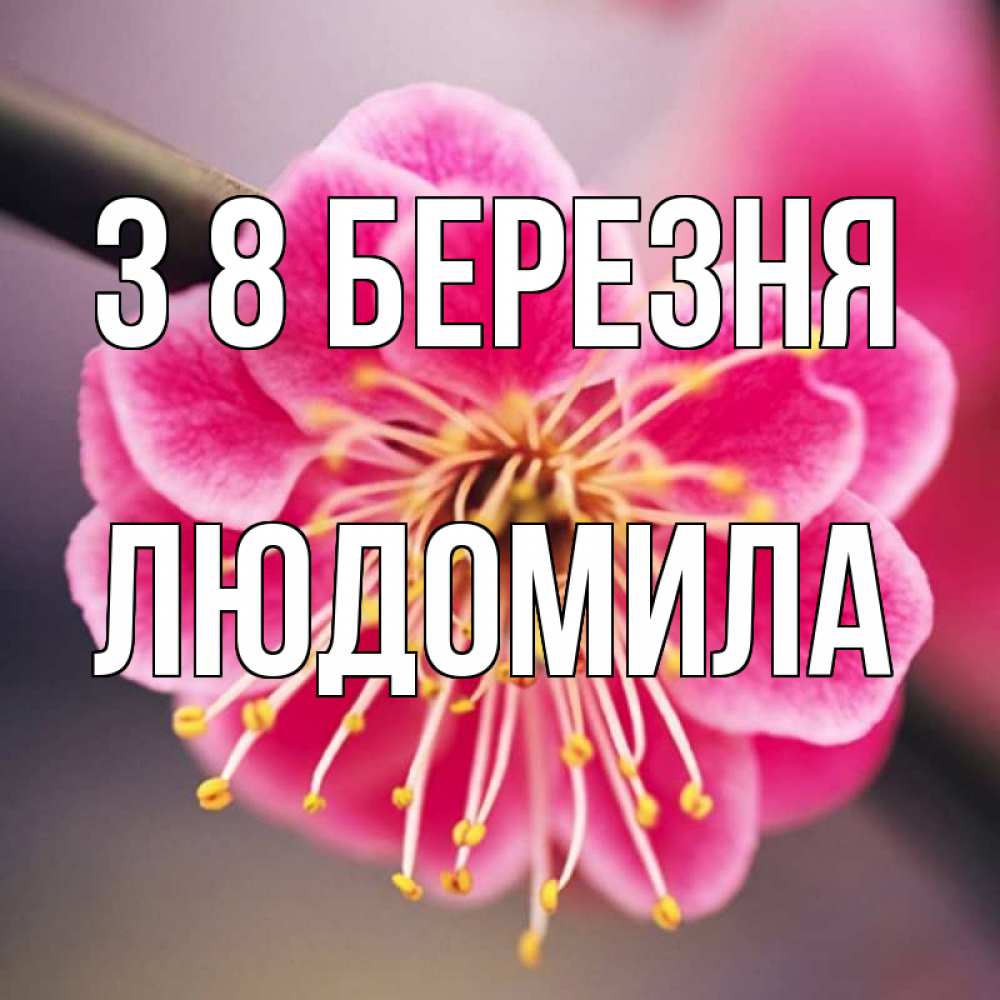 Открытка на каждый день з підписом, Людомила З 8 БЕРЕЗНЯ цветы Прикольна листівка з побажанням онлайн скачати безкоштовно 