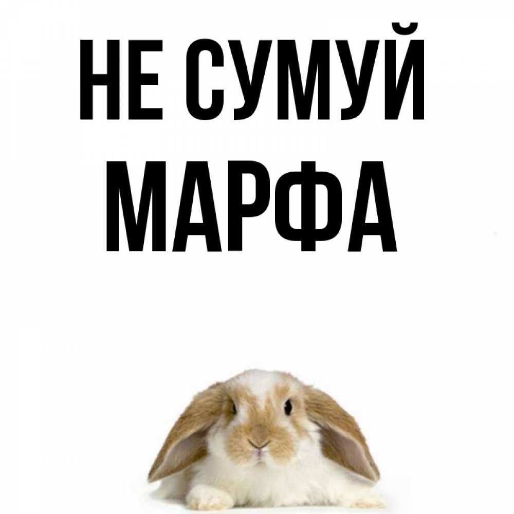 Открытка на каждый день з підписом, Марфа Не сумуй коричнево белый заяц с большими ушками Прикольна листівка з побажанням онлайн скачати безкоштовно 