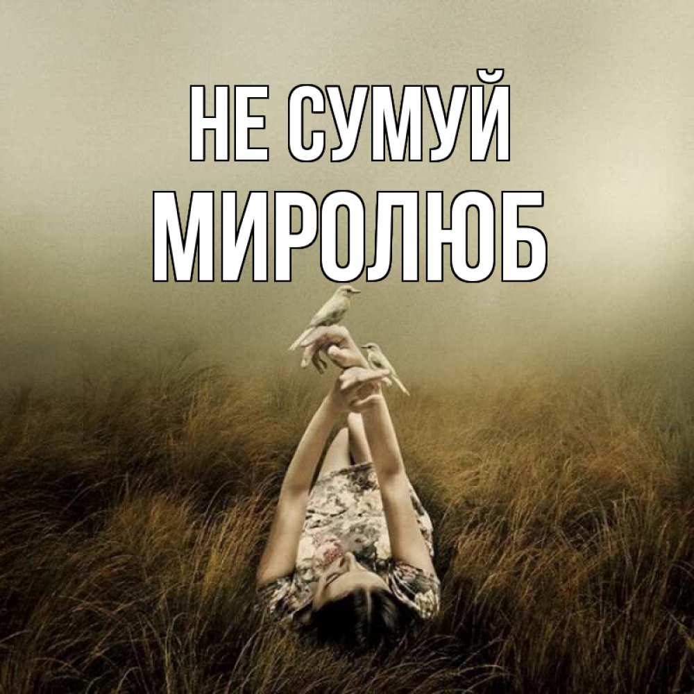 Открытка на каждый день з підписом, Миролюб Не сумуй поле и туман Прикольна листівка з побажанням онлайн скачати безкоштовно 