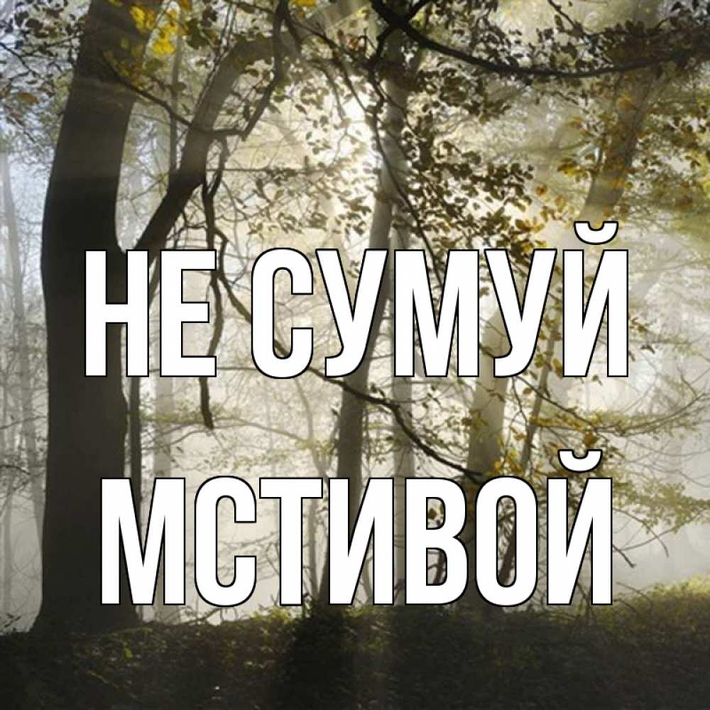 Открытка на каждый день з підписом, Мстивой Не сумуй лес и свет Прикольна листівка з побажанням онлайн скачати безкоштовно 