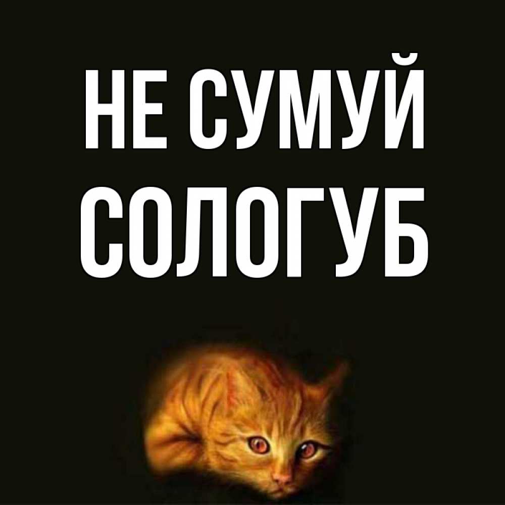 Открытка на каждый день з підписом, Сологуб Не сумуй лежащий кот в темноте Прикольна листівка з побажанням онлайн скачати безкоштовно 