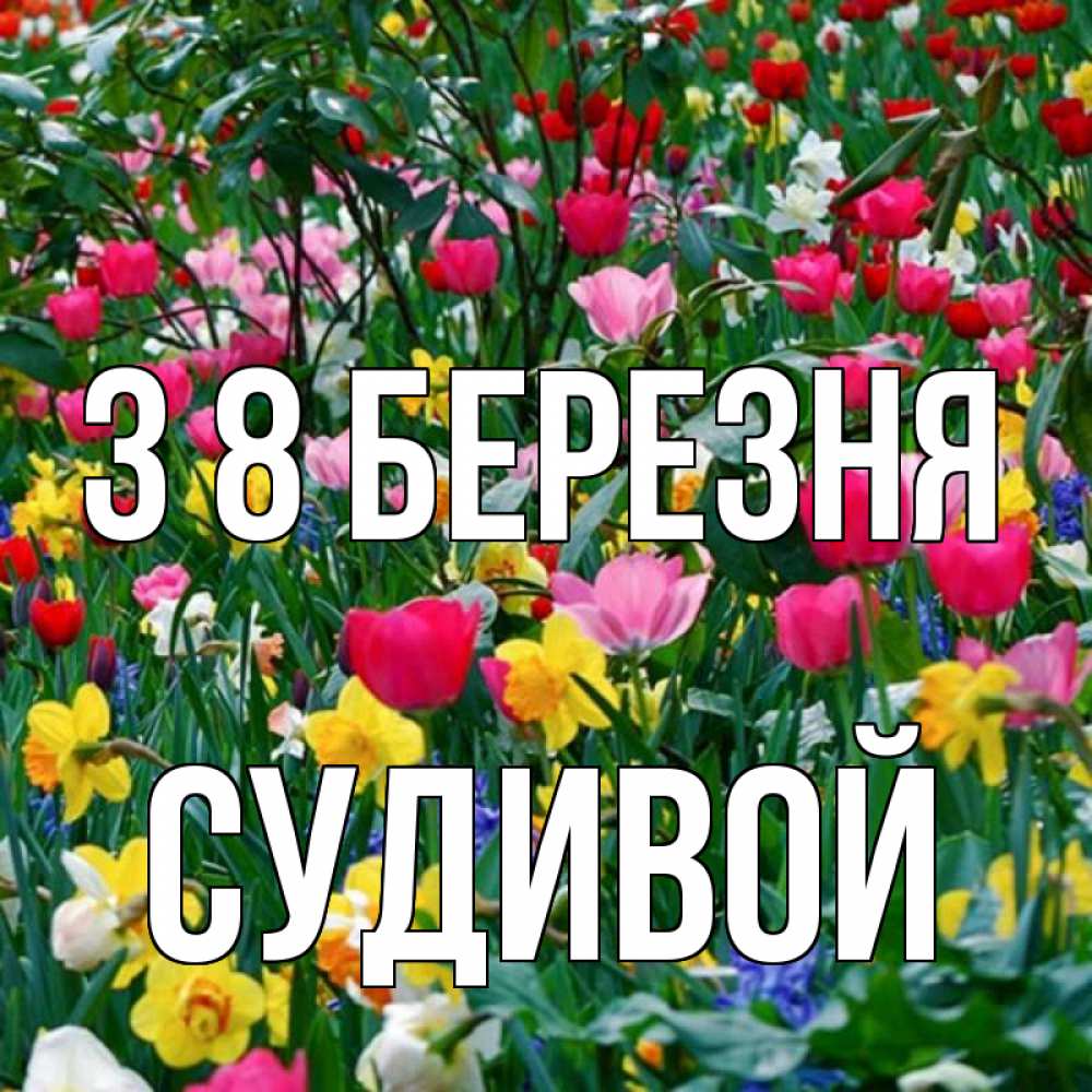 Открытка на каждый день з підписом, Судивой З 8 БЕРЕЗНЯ с международным женским днем поздравления для женщины Прикольна листівка з побажанням онлайн скачати безкоштовно 