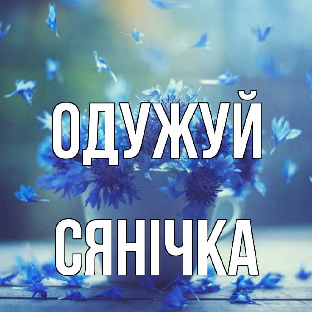 Открытка на каждый день з підписом, Сянічка Одужуй кружка с зельем и цветами Прикольна листівка з побажанням онлайн скачати безкоштовно 