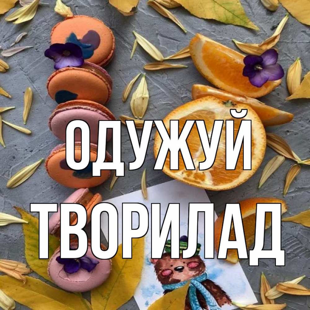 Открытка на каждый день з підписом, Творилад Одужуй не болейте Прикольна листівка з побажанням онлайн скачати безкоштовно 