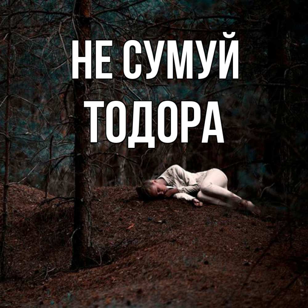 Открытка на каждый день з підписом, Тодора Не сумуй лес Прикольна листівка з побажанням онлайн скачати безкоштовно 