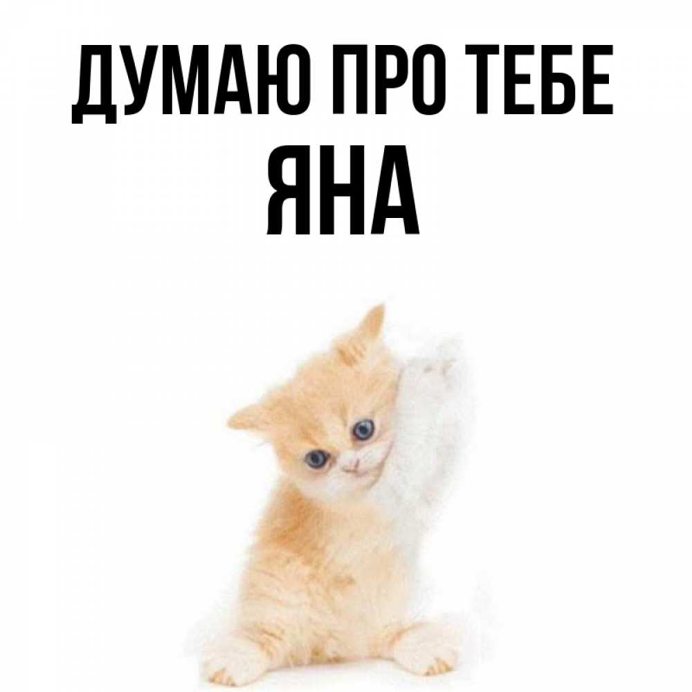 Открытка на каждый день з підписом, Яна Думаю про тебе зверушки и милота Прикольна листівка з побажанням онлайн скачати безкоштовно 