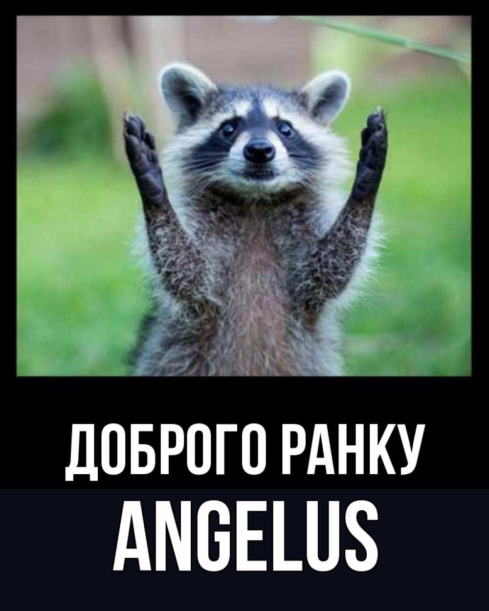 Открытка на каждый день з підписом, Angelus Доброго ранку хорошее настроение утречком Прикольна листівка з побажанням онлайн скачати безкоштовно 