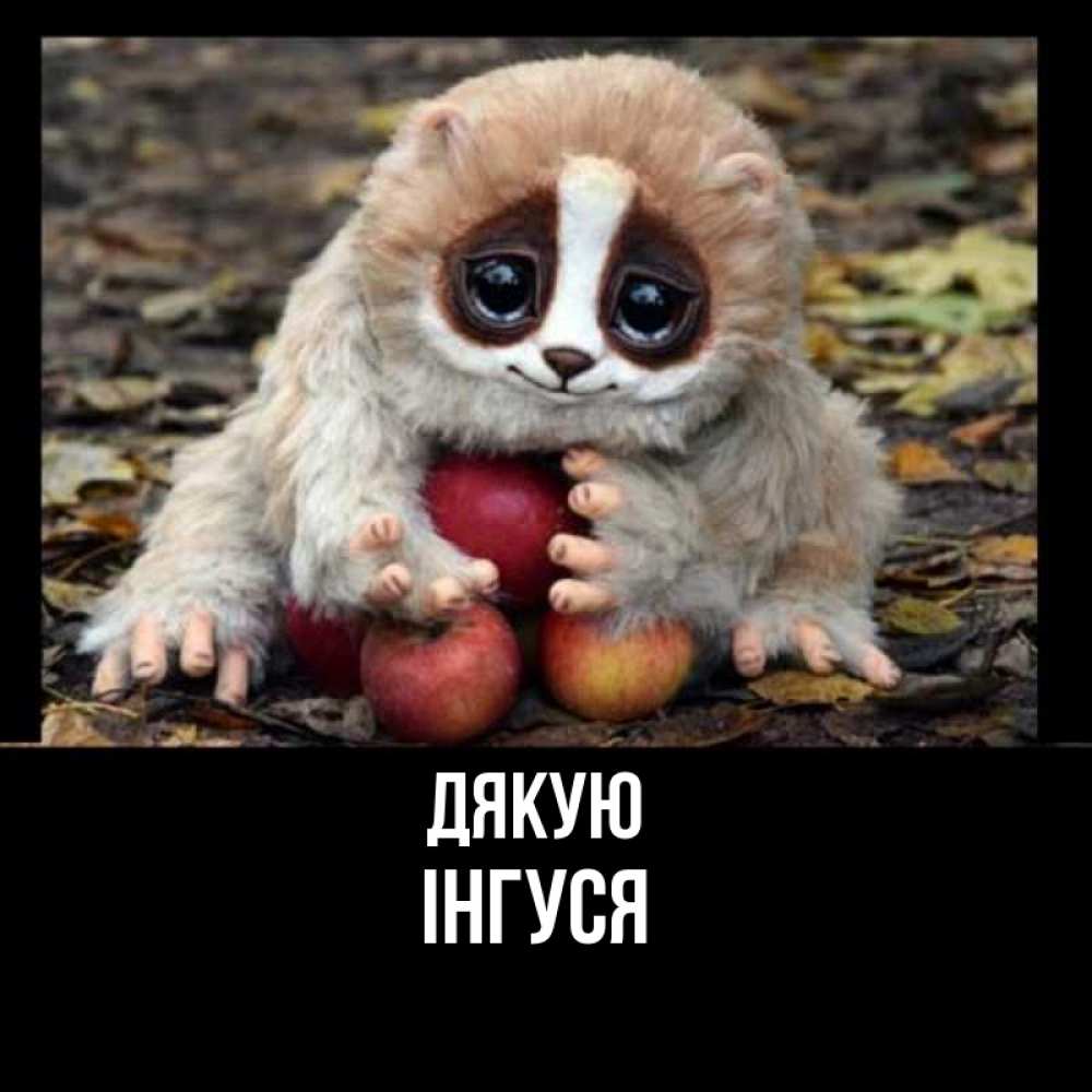 Открытка на каждый день з підписом, Інгуся Дякую прикольное животное Прикольна листівка з побажанням онлайн скачати безкоштовно 
