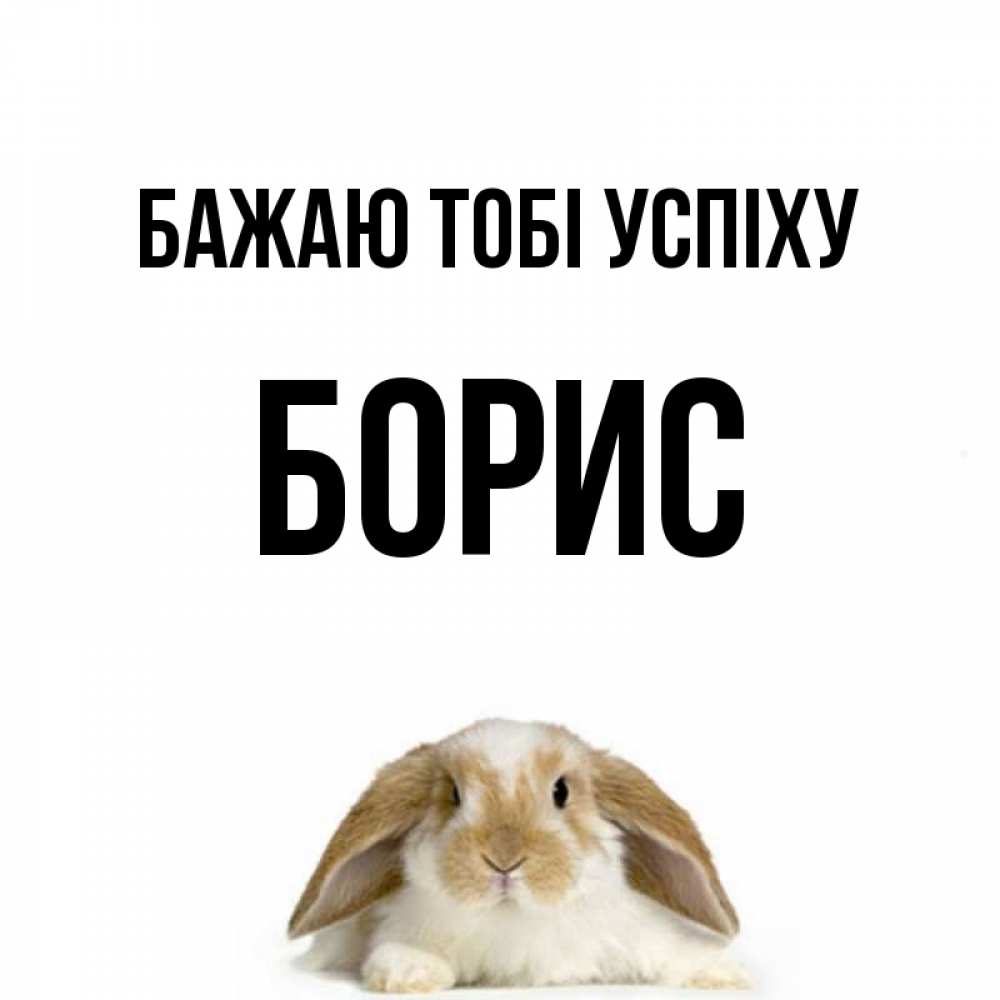 Открытка на каждый день з підписом, Борис Бажаю тобі успіху открытки с произвольным текстом который можно вставить в открытку и создать ее самостоятельно бесплатно онлайн Прикольна листівка з побажанням онлайн скачати безкоштовно 