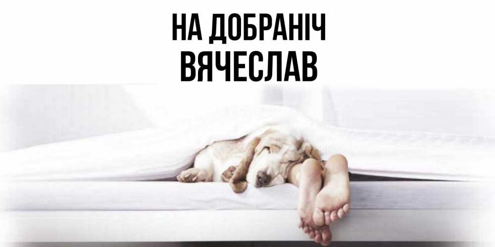 Открытка на каждый день з підписом, Вячеслав На добраніч кровать с собакой пожелание сладких снов и спокойной ночи Прикольна листівка з побажанням онлайн скачати безкоштовно 