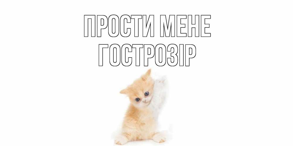 Открытка на каждый день з підписом, Гострозір Прости мене кот Прикольна листівка з побажанням онлайн скачати безкоштовно 