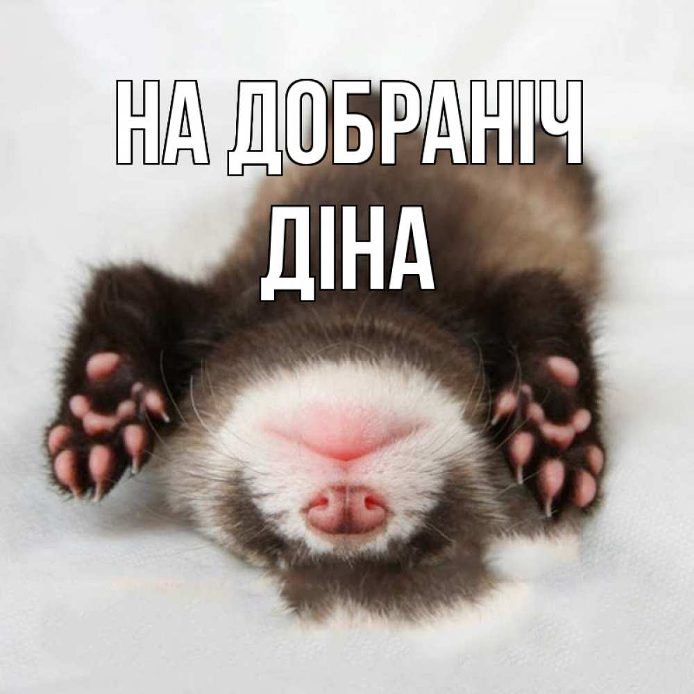 Открытка на каждый день з підписом, Діна На добраніч зверек Прикольна листівка з побажанням онлайн скачати безкоштовно 
