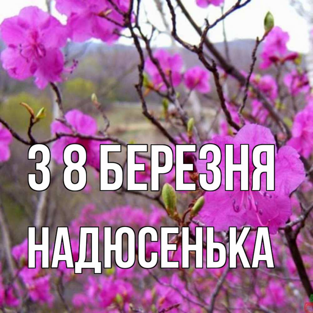 Открытка на каждый день з підписом, Надюсенька З 8 БЕРЕЗНЯ международный женский день Прикольна листівка з побажанням онлайн скачати безкоштовно 