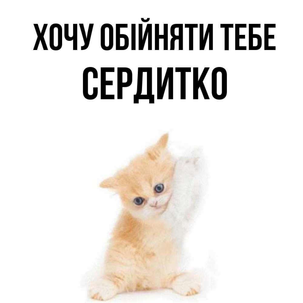 Открытка на каждый день з підписом, Сердитко Хочу обійняти тебе я хочу очень скорее обнимаешек Прикольна листівка з побажанням онлайн скачати безкоштовно 
