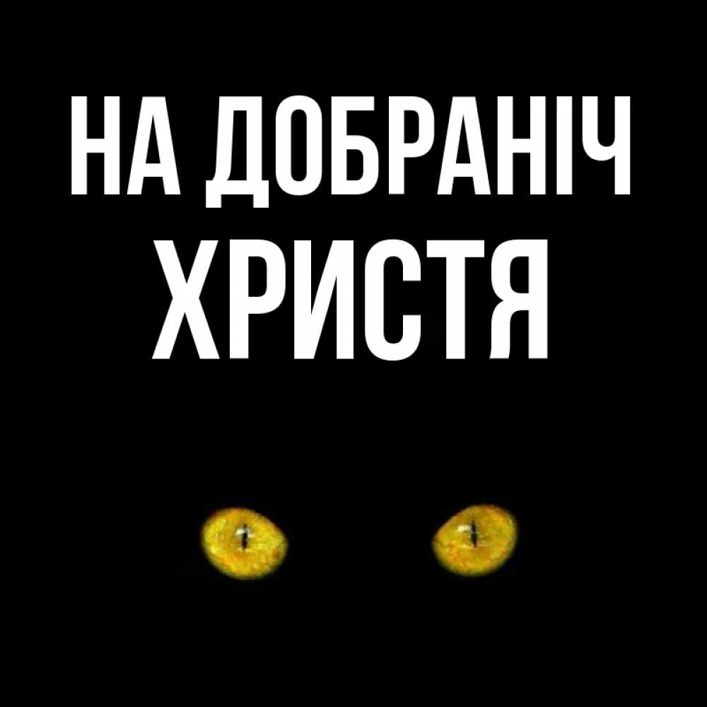 Открытка на каждый день з підписом, Христя На добраніч сладких снов бесстрашный мой дружочек Прикольна листівка з побажанням онлайн скачати безкоштовно 