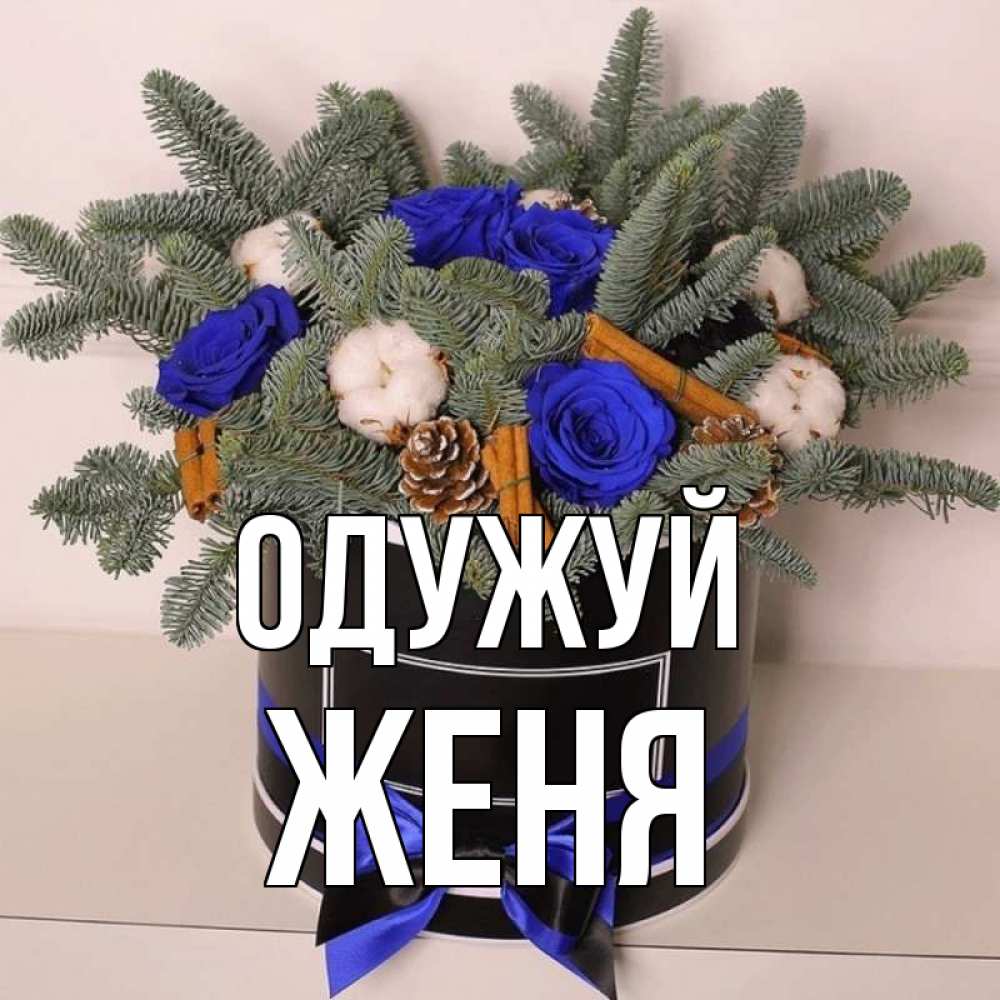 Открытка на каждый день з підписом, Женя Одужуй короче кто то загрузил эти шишки Прикольна листівка з побажанням онлайн скачати безкоштовно 