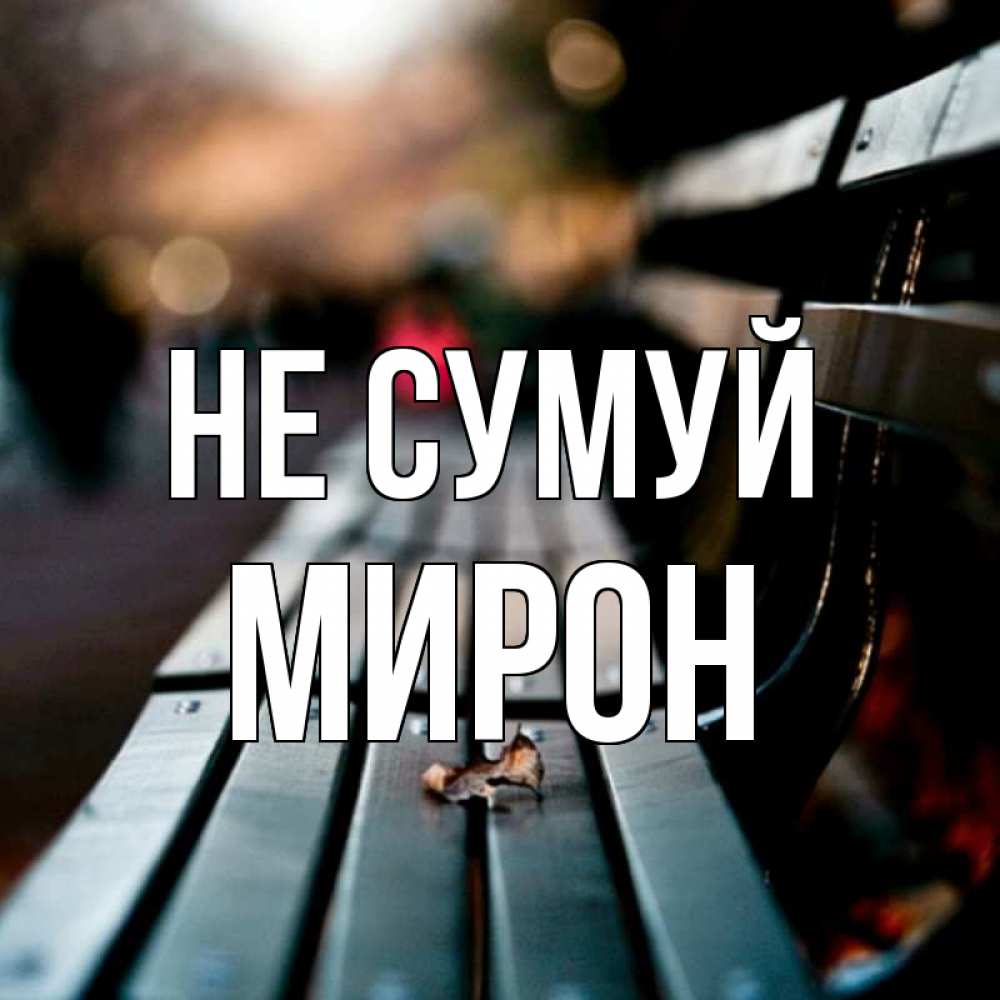 Открытка на каждый день з підписом, Мирон Не сумуй размытый фон Прикольна листівка з побажанням онлайн скачати безкоштовно 