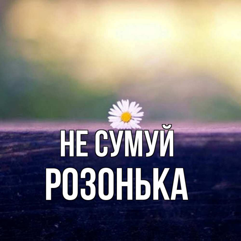 Открытка на каждый день з підписом, Розонька Не сумуй красота Прикольна листівка з побажанням онлайн скачати безкоштовно 