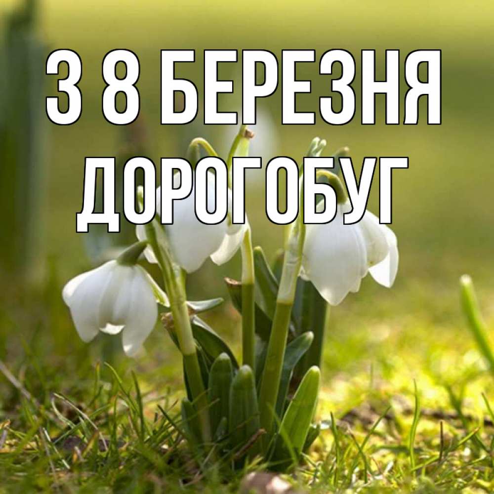 Открытка на каждый день з підписом, Дорогобуг З 8 БЕРЕЗНЯ ранние цветы 2 Прикольна листівка з побажанням онлайн скачати безкоштовно 