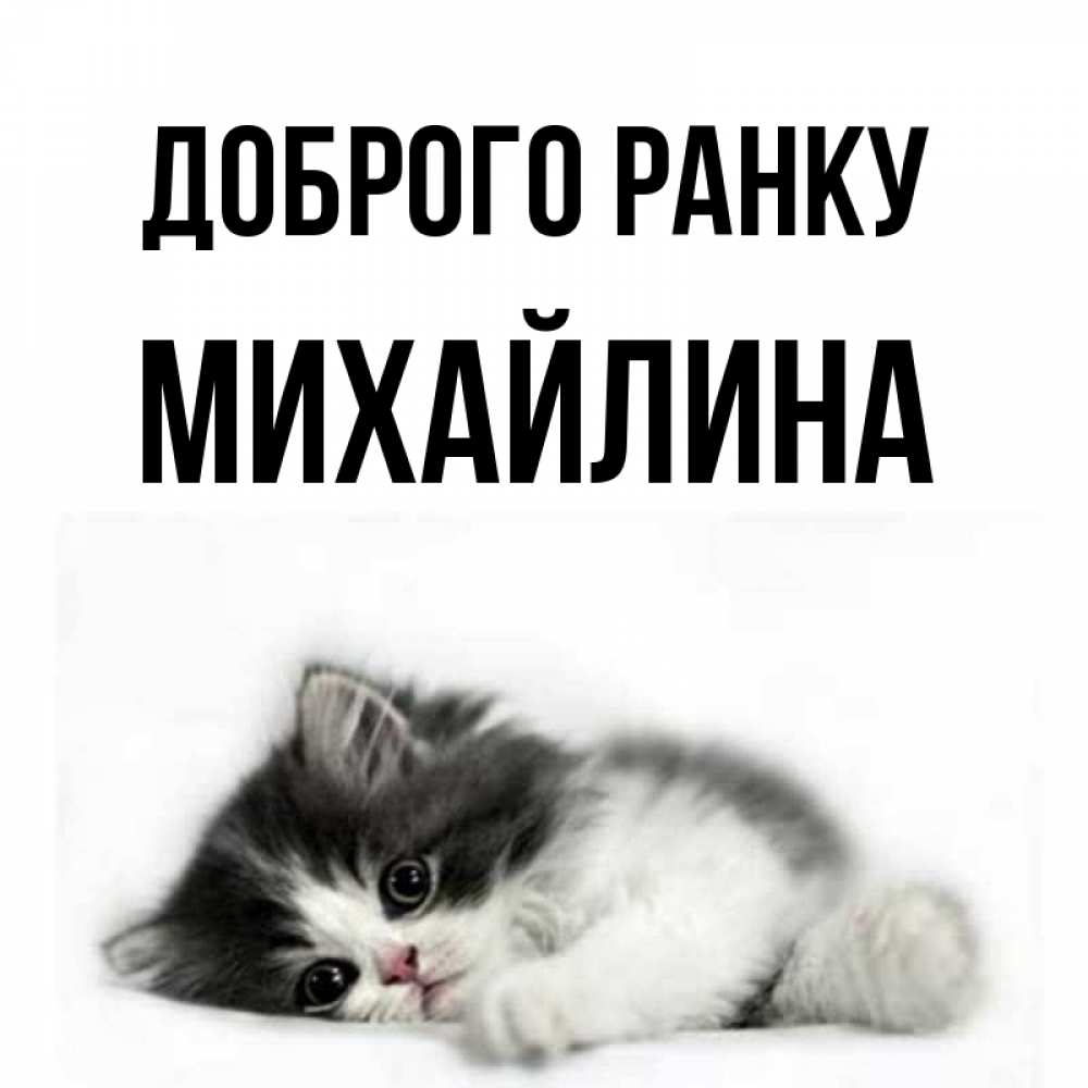 Открытка на каждый день з підписом, Михайлина Доброго ранку кот лапки Прикольна листівка з побажанням онлайн скачати безкоштовно 