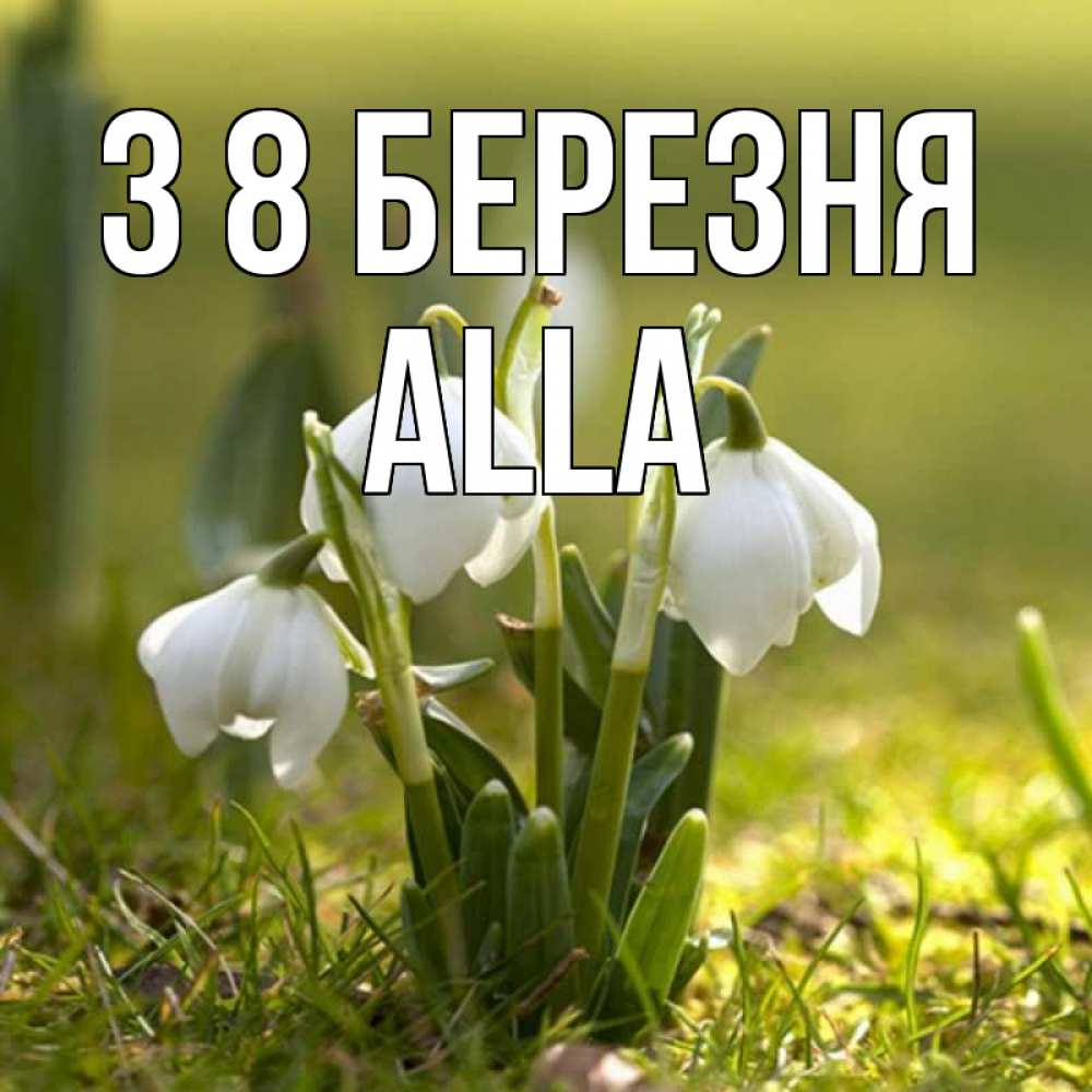 Открытка на каждый день з підписом, Alla З 8 БЕРЕЗНЯ ранние цветы 2 Прикольна листівка з побажанням онлайн скачати безкоштовно 