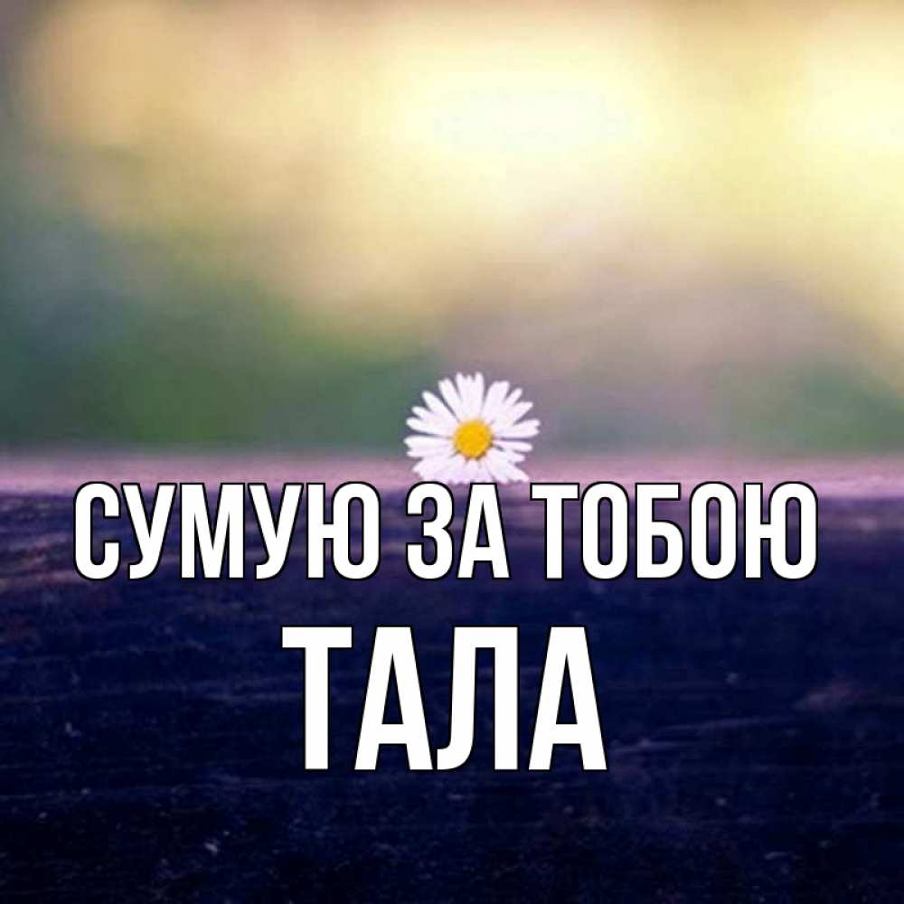 Открытка на каждый день з підписом, Тала Сумую за тобою приходи в гости Прикольна листівка з побажанням онлайн скачати безкоштовно 
