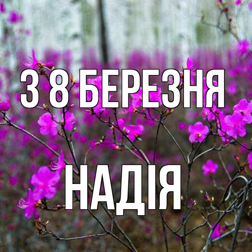 Открытка на каждый день з підписом, Надія З 8 БЕРЕЗНЯ дикие цветы Прикольна листівка з побажанням онлайн скачати безкоштовно 