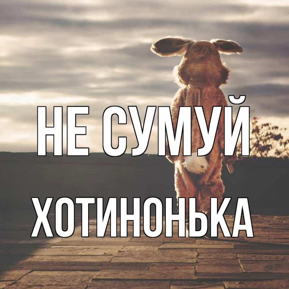 Открытка на каждый день з підписом, Хотинонька Не сумуй со спины Прикольна листівка з побажанням онлайн скачати безкоштовно 