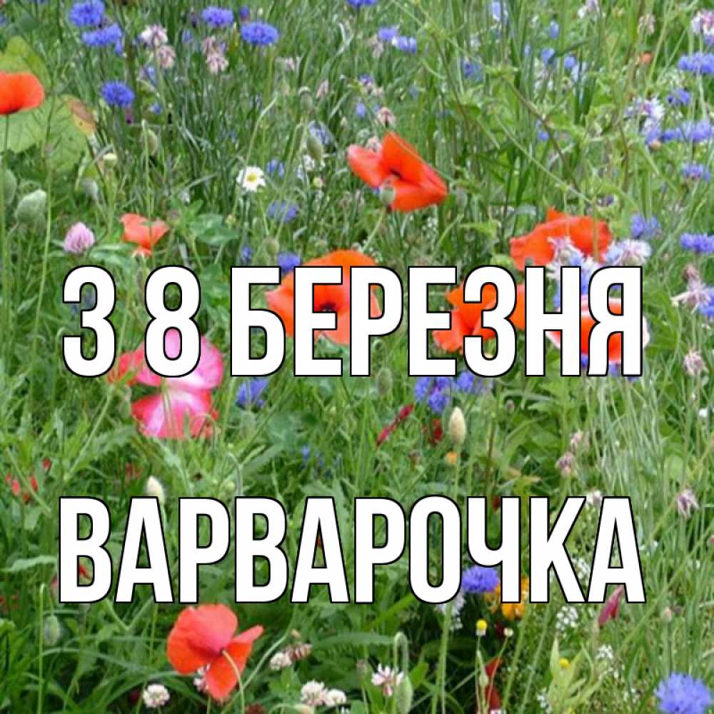 Открытка на каждый день з підписом, Варварочка З 8 БЕРЕЗНЯ международный женский день 4 Прикольна листівка з побажанням онлайн скачати безкоштовно 