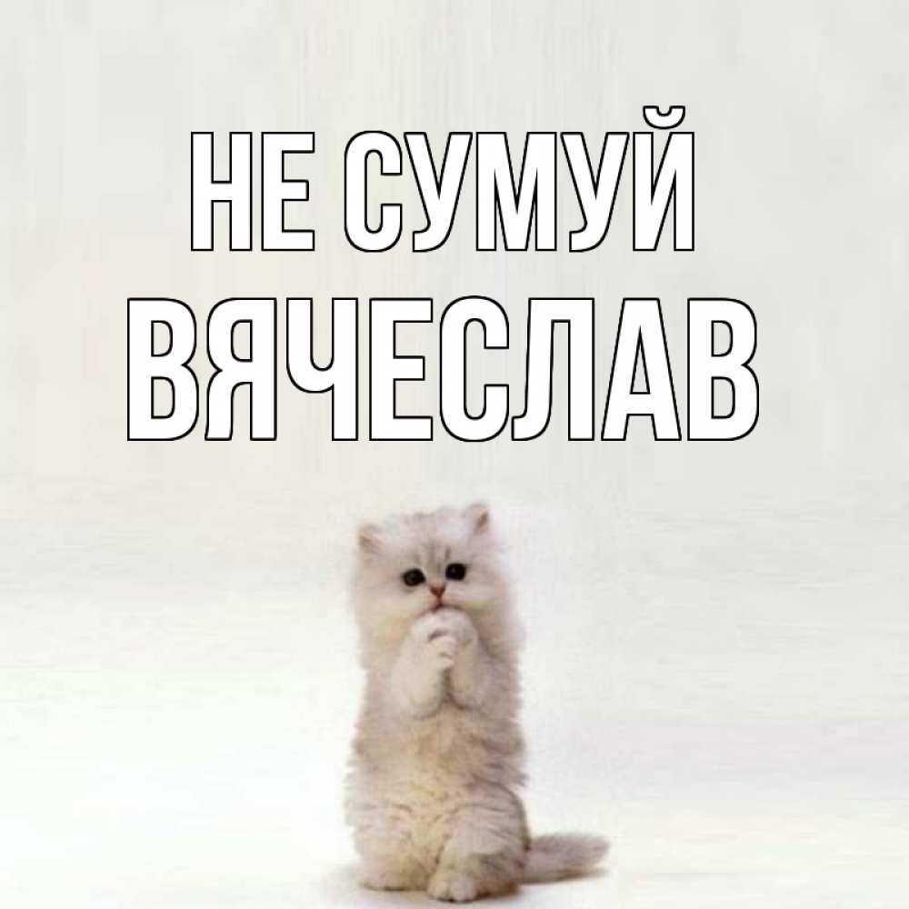 Открытка на каждый день з підписом, Вячеслав Не сумуй грустный кот Прикольна листівка з побажанням онлайн скачати безкоштовно 