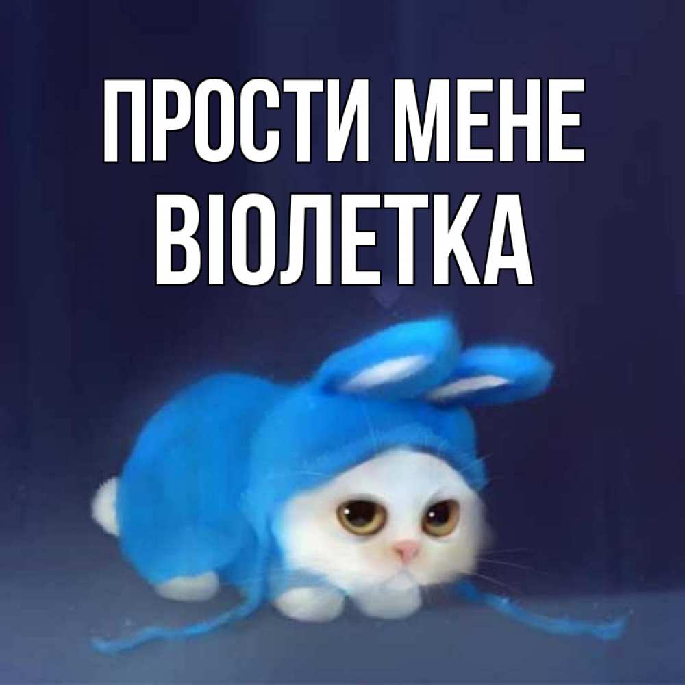 Открытка на каждый день з підписом, Віолетка Прости мене невинный котозай просит прощения Прикольна листівка з побажанням онлайн скачати безкоштовно 