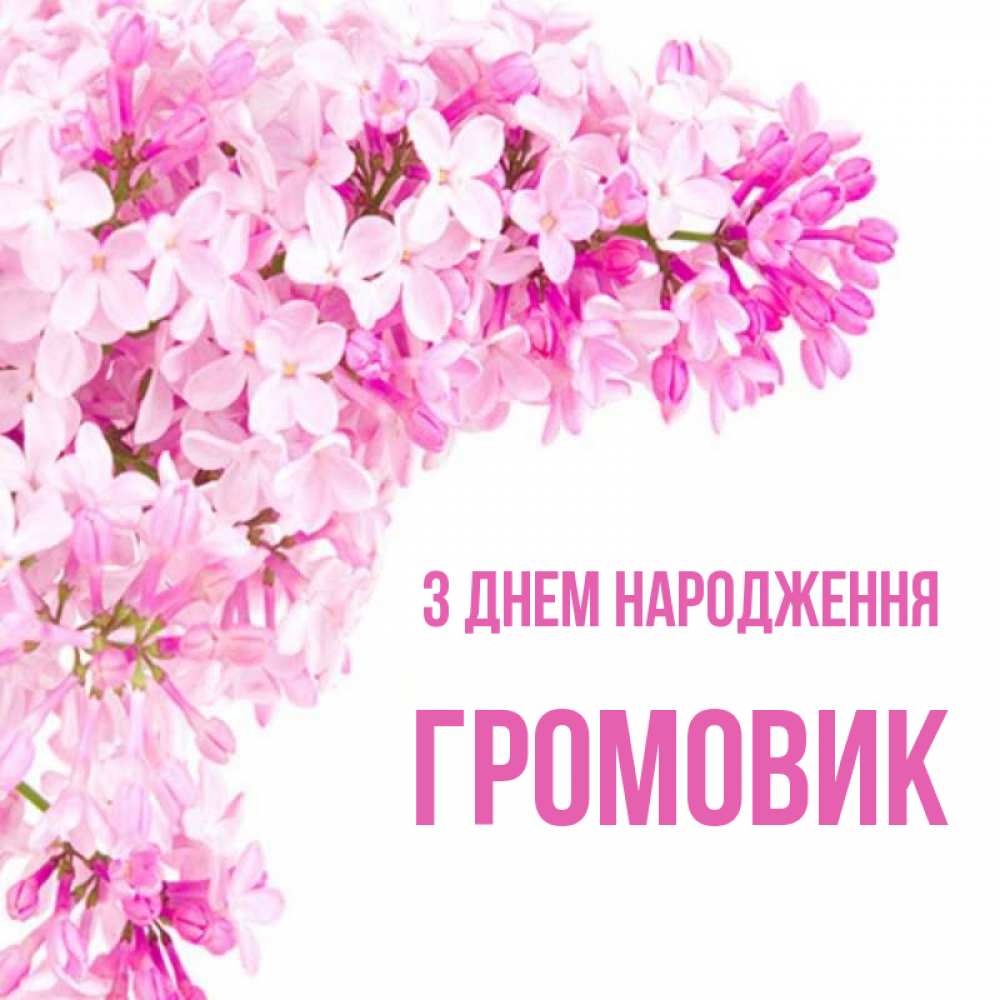 Открытка на каждый день з підписом, Громовик З Днем народження Сирень на белом фоне Прикольна листівка з побажанням онлайн скачати безкоштовно 