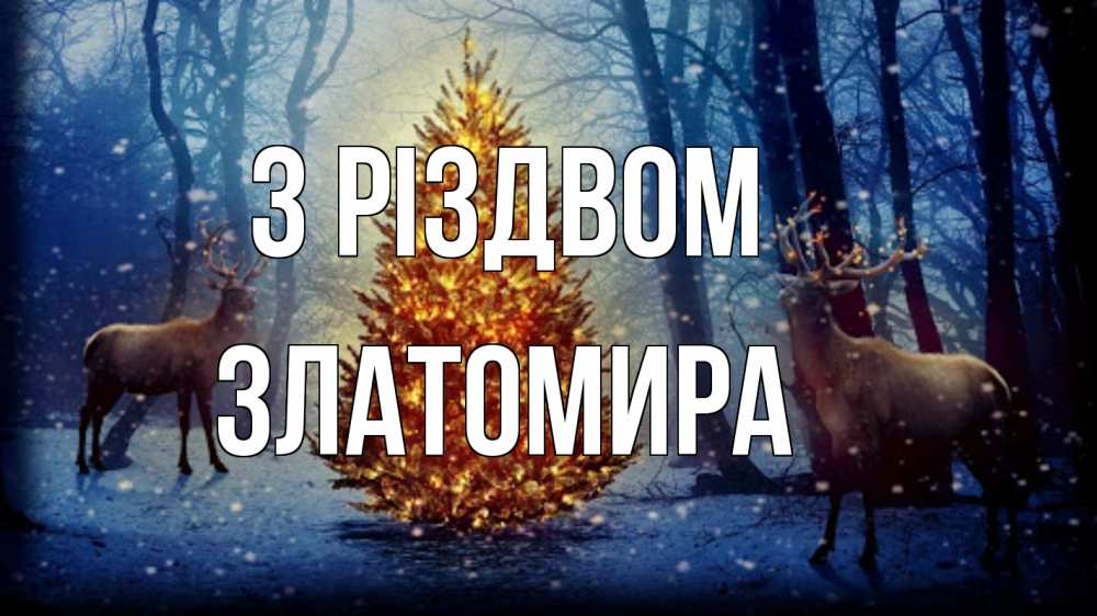 Открытка на каждый день з підписом, Златомира З Різдвом олени, новогодняя елка Прикольна листівка з побажанням онлайн скачати безкоштовно 