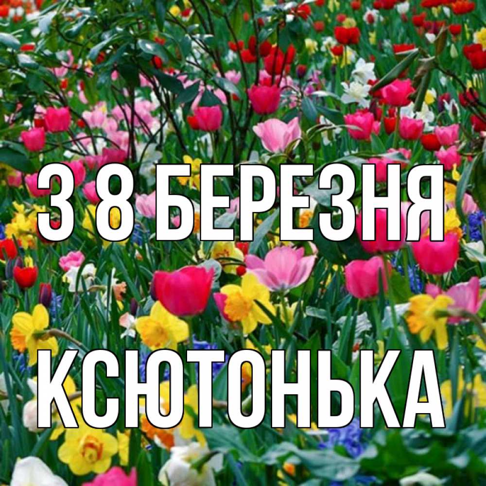 Открытка на каждый день з підписом, Ксютонька З 8 БЕРЕЗНЯ с международным женским днем поздравления для женщины Прикольна листівка з побажанням онлайн скачати безкоштовно 