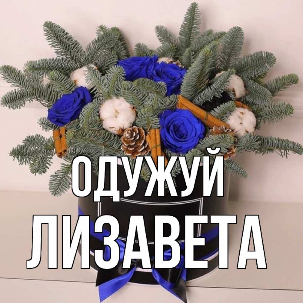 Открытка на каждый день з підписом, Лизавета Одужуй короче кто то загрузил эти шишки Прикольна листівка з побажанням онлайн скачати безкоштовно 