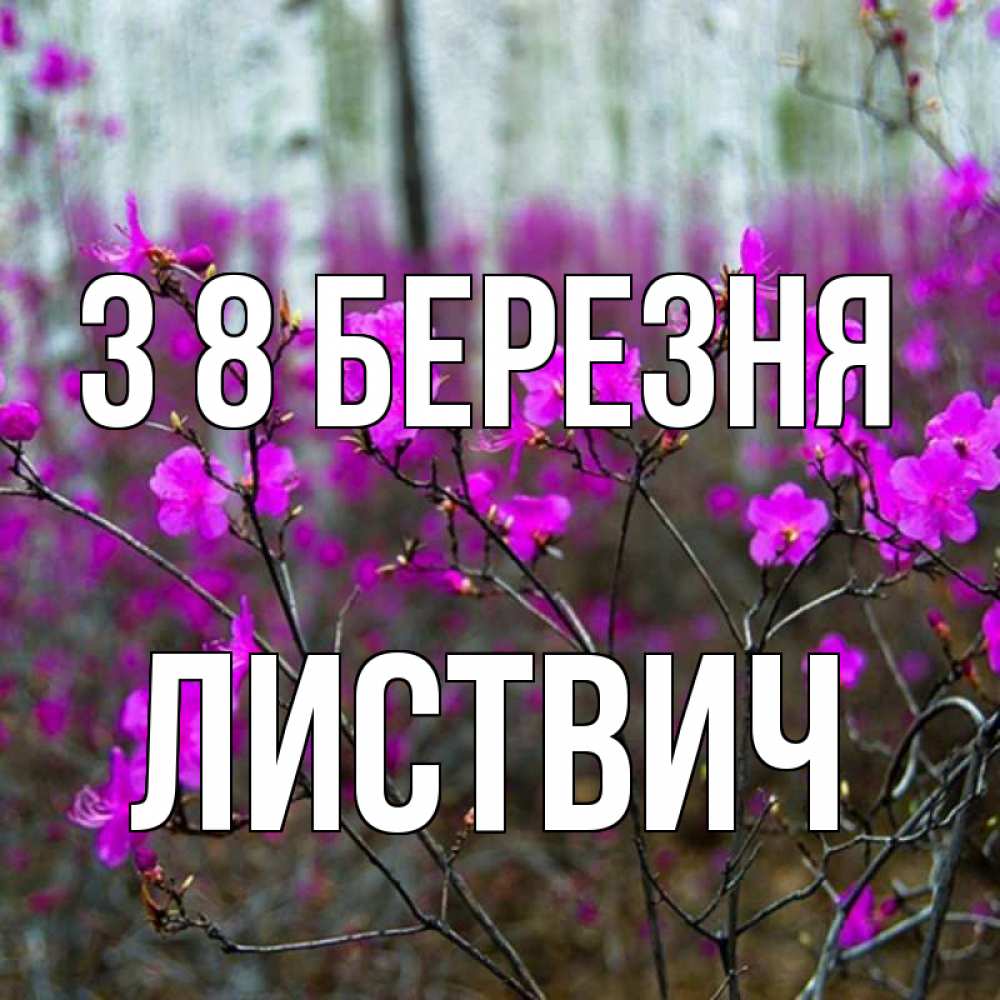 Открытка на каждый день з підписом, Листвич З 8 БЕРЕЗНЯ дикие цветы Прикольна листівка з побажанням онлайн скачати безкоштовно 