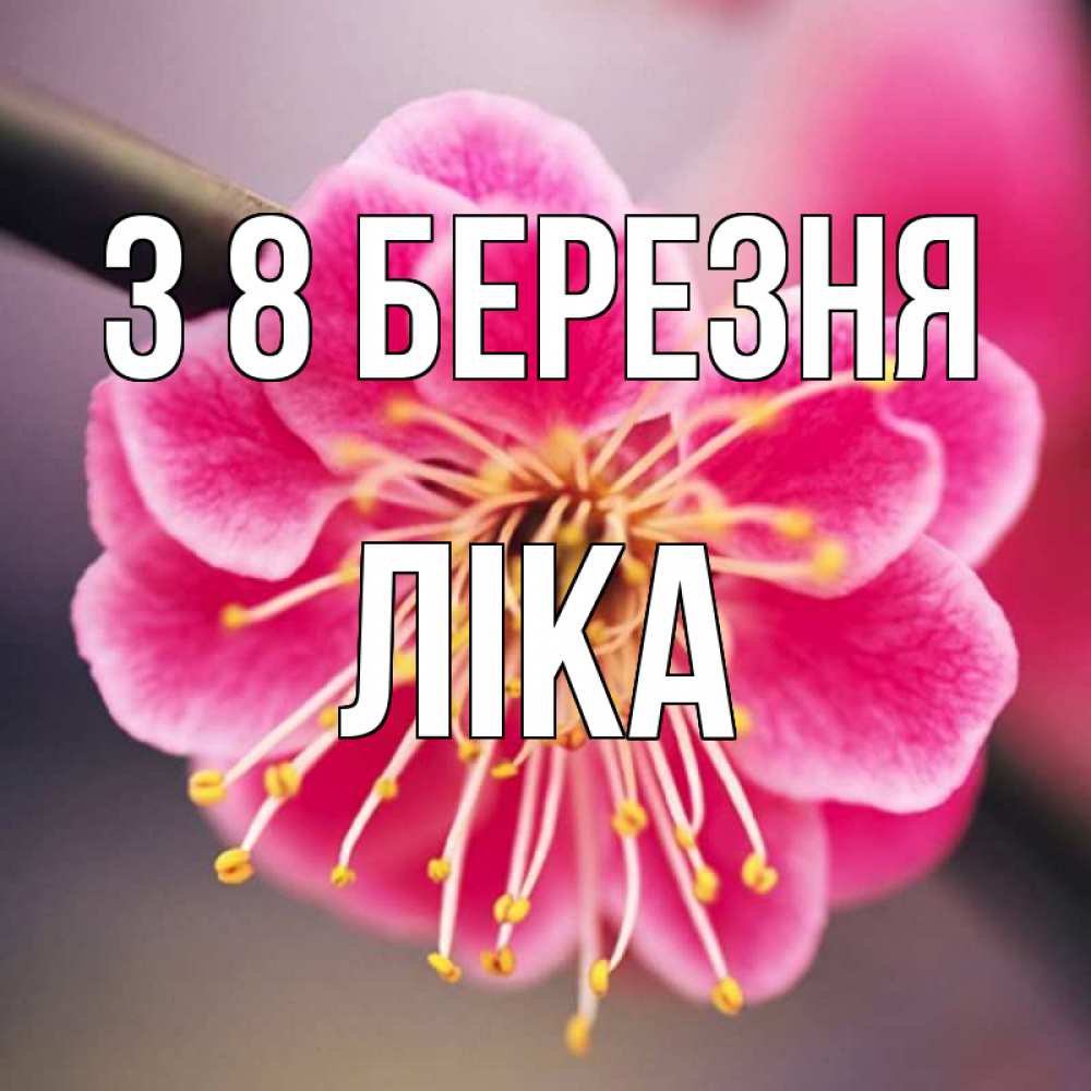 Открытка на каждый день з підписом, Ліка З 8 БЕРЕЗНЯ цветы Прикольна листівка з побажанням онлайн скачати безкоштовно 