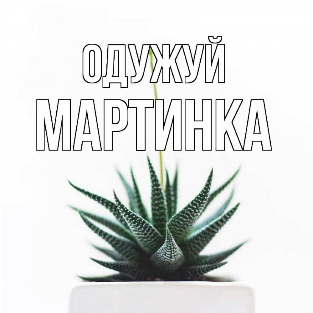 Открытка на каждый день з підписом, Мартинка Одужуй короче это непонятная колючка Прикольна листівка з побажанням онлайн скачати безкоштовно 